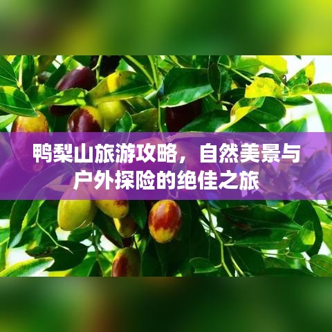 鴨梨山旅游攻略，自然美景與戶外探險(xiǎn)的絕佳之旅