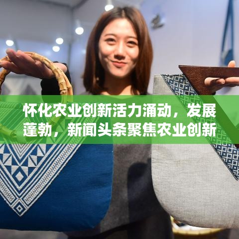 懷化農(nóng)業(yè)創(chuàng)新活力涌動，發(fā)展蓬勃，新聞頭條聚焦農(nóng)業(yè)創(chuàng)新步伐