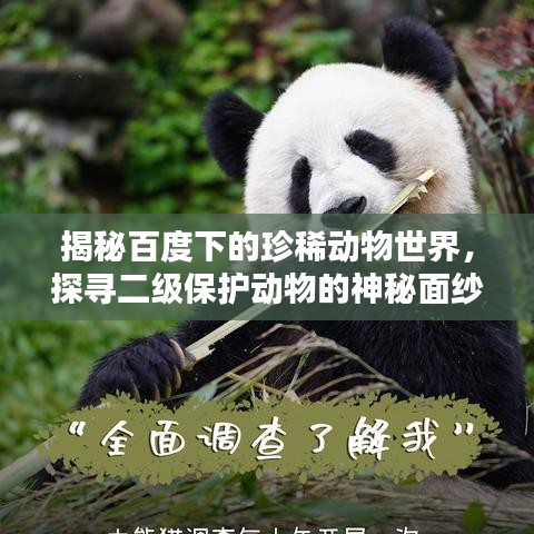 揭秘百度下的珍稀動物世界，探尋二級保護動物的神秘面紗