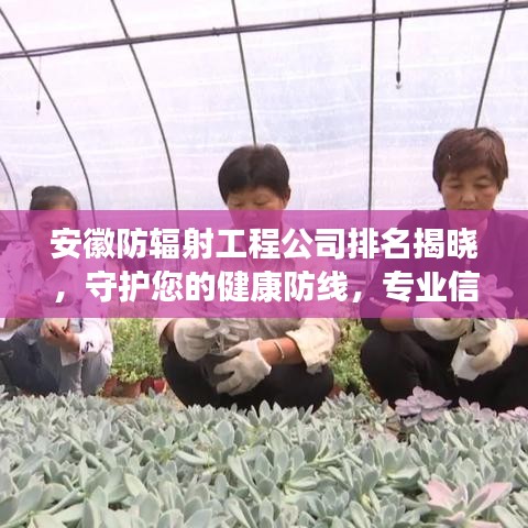 安徽防輻射工程公司排名揭曉，守護(hù)您的健康防線，專業(yè)信賴之選！