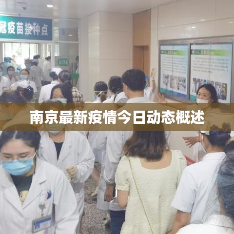 南京最新疫情今日動態(tài)概述
