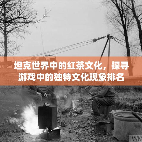 坦克世界中的紅茶文化，探尋游戲中的獨(dú)特文化現(xiàn)象排名