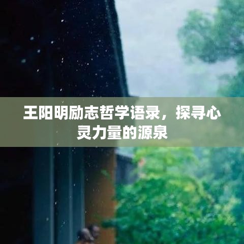 王陽明勵志哲學(xué)語錄，探尋心靈力量的源泉