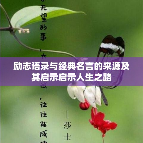 勵(lì)志語錄與經(jīng)典名言的來源及其啟示啟示人生之路