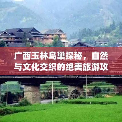 廣西玉林鳥巢探秘，自然與文化交織的絕美旅游攻略圖