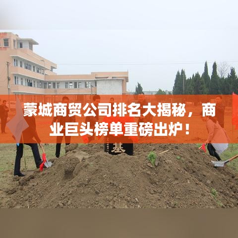 蒙城商貿(mào)公司排名大揭秘，商業(yè)巨頭榜單重磅出爐！