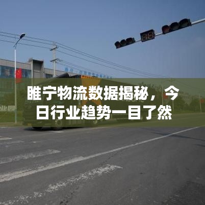 睢寧物流數(shù)據(jù)揭秘，今日行業(yè)趨勢一目了然