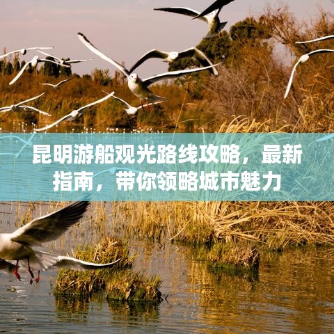 昆明游船觀光路線攻略，最新指南，帶你領(lǐng)略城市魅力