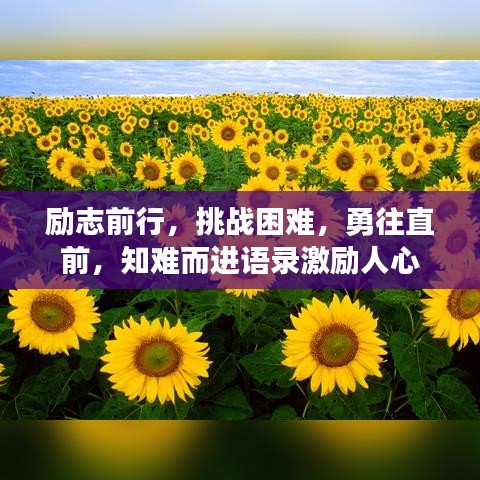 勵志前行，挑戰(zhàn)困難，勇往直前，知難而進(jìn)語錄激勵人心