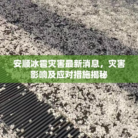 安順冰雹災(zāi)害最新消息，災(zāi)害影響及應(yīng)對(duì)措施揭秘