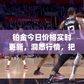 鉑金今日價格實時更新，洞悉行情，把握投資先機