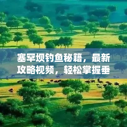 塞罕壩釣魚秘籍，最新攻略視頻，輕松掌握垂釣技巧，盡享自然垂釣樂趣！