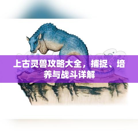 上古靈獸攻略大全，捕捉、培養(yǎng)與戰(zhàn)斗詳解