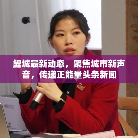 鯉城最新動態(tài)，聚焦城市新聲音，傳遞正能量頭條新聞