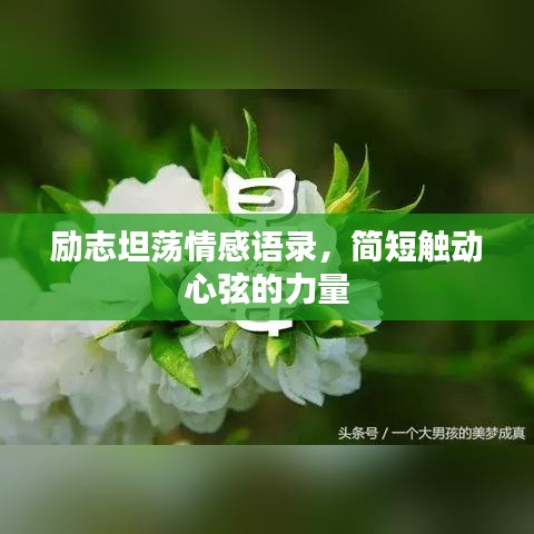 勵志坦蕩情感語錄，簡短觸動心弦的力量