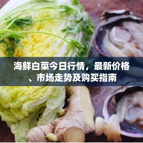 海鮮白菜今日行情，最新價(jià)格、市場(chǎng)走勢(shì)及購(gòu)買指南