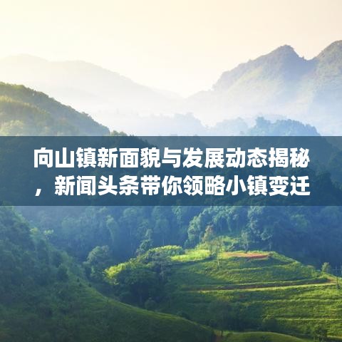 向山鎮(zhèn)新面貌與發(fā)展動(dòng)態(tài)揭秘，新聞?lì)^條帶你領(lǐng)略小鎮(zhèn)變遷風(fēng)采