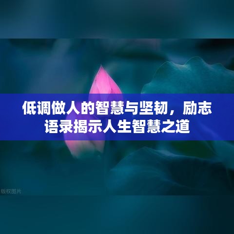 低調(diào)做人的智慧與堅(jiān)韌，勵(lì)志語(yǔ)錄揭示人生智慧之道