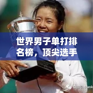 世界男子單打排名榜，頂尖選手的榮耀之路與奮斗軌跡