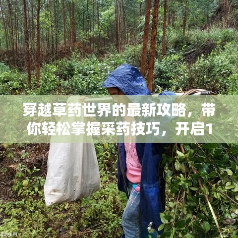 穿越草藥世界的最新攻略，帶你輕松掌握采藥技巧，開啟1到300的冒險征途！