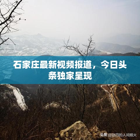 石家莊最新視頻報(bào)道，今日頭條獨(dú)家呈現(xiàn)