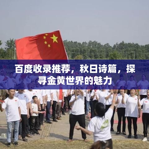 百度收錄推薦，秋日詩(shī)篇，探尋金黃世界的魅力