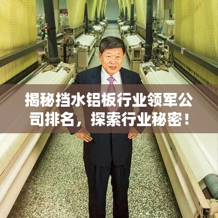 揭秘擋水鋁板行業(yè)領軍公司排名，探索行業(yè)秘密！