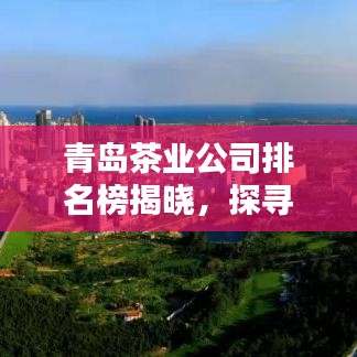 青島茶業(yè)公司排名榜揭曉，探尋茶韻之島的頂尖品質先鋒