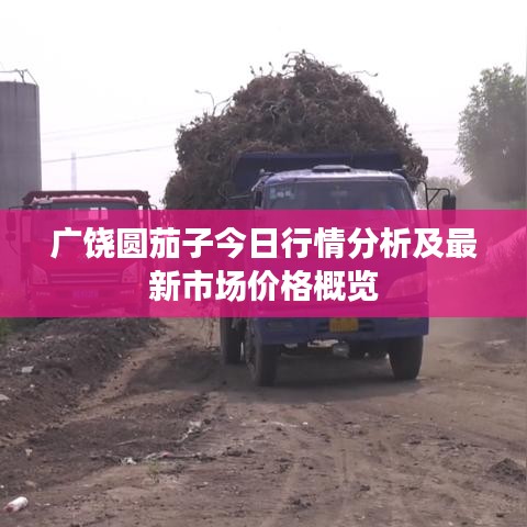 不怕一萬(wàn)，就怕萬(wàn)一 第3頁(yè)