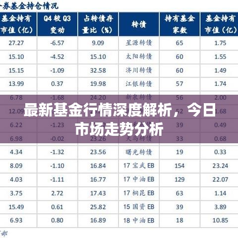 最新基金行情深度解析，今日市場走勢分析
