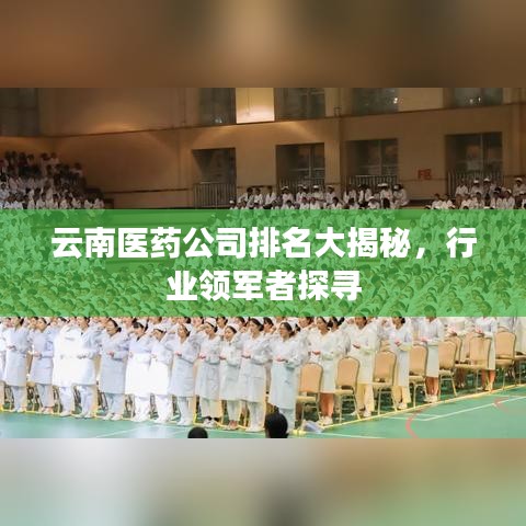 云南醫(yī)藥公司排名大揭秘，行業(yè)領(lǐng)軍者探尋