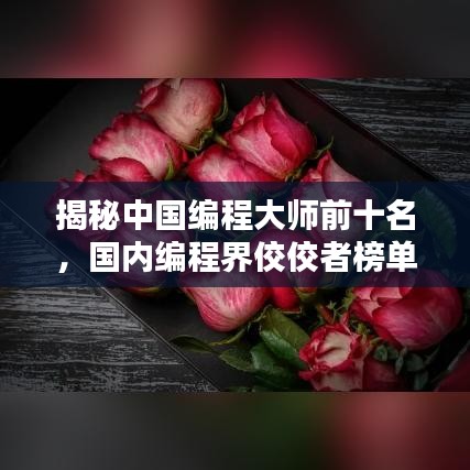 揭秘中國編程大師前十名，國內(nèi)編程界佼佼者榜單！