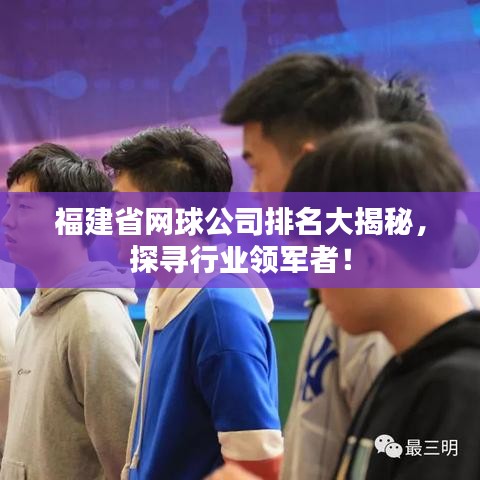 福建省網(wǎng)球公司排名大揭秘，探尋行業(yè)領(lǐng)軍者！