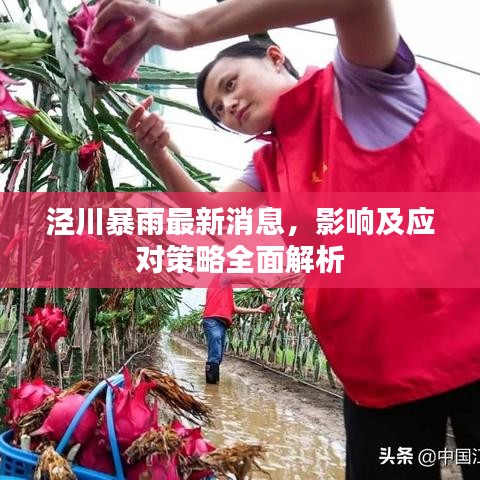 涇川暴雨最新消息，影響及應(yīng)對策略全面解析