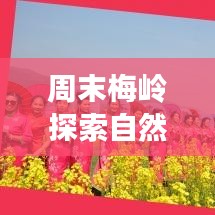 周末梅嶺探索自然美景，盡享休閑時光攻略