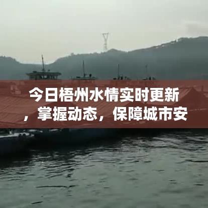 今日梧州水情實(shí)時(shí)更新，掌握動(dòng)態(tài)，保障城市安全