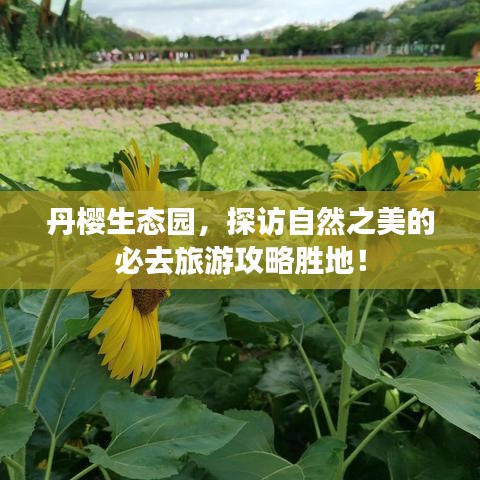 丹櫻生態(tài)園，探訪自然之美的必去旅游攻略勝地！