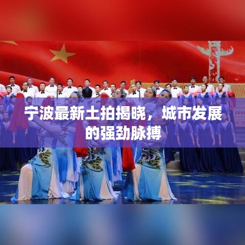 寧波最新土拍揭曉，城市發(fā)展的強勁脈搏