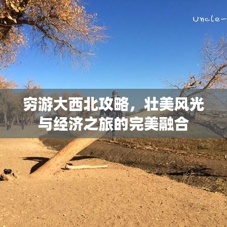 窮游大西北攻略，壯美風(fēng)光與經(jīng)濟(jì)之旅的完美融合