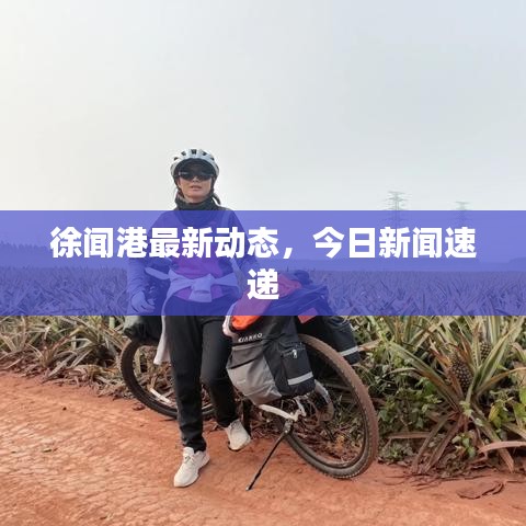 徐聞港最新動態(tài)，今日新聞速遞