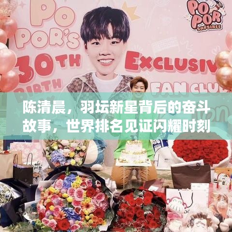 陳清晨，羽壇新星背后的奮斗故事，世界排名見證閃耀時刻！
