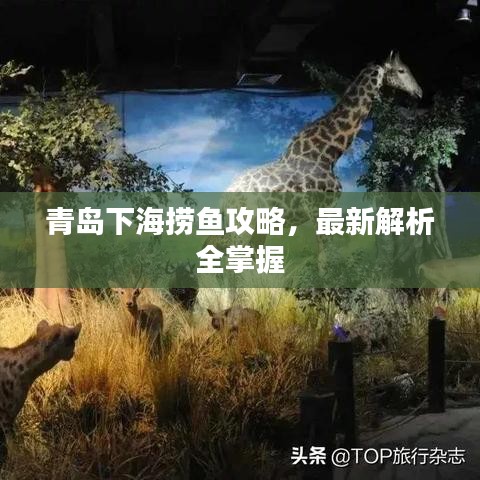 青島下海撈魚攻略，最新解析全掌握