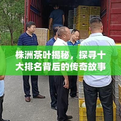 株洲茶葉揭秘，探尋十大排名背后的傳奇故事