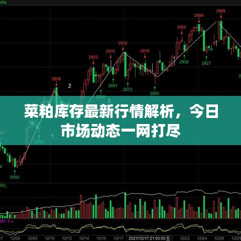菜粕庫存最新行情解析，今日市場(chǎng)動(dòng)態(tài)一網(wǎng)打盡