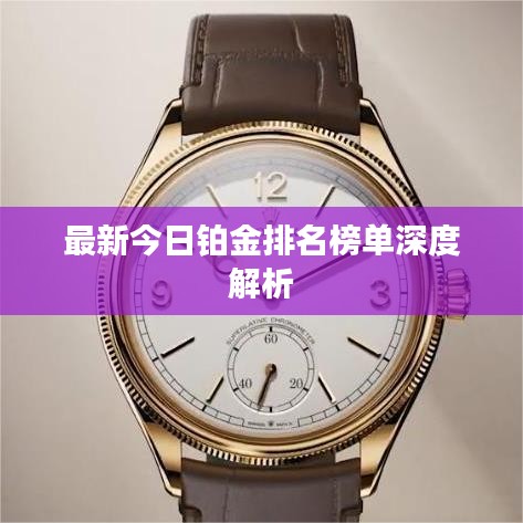 最新今日鉑金排名榜單深度解析
