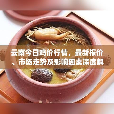 云南今日雞價行情，最新報價、市場走勢及影響因素深度解析