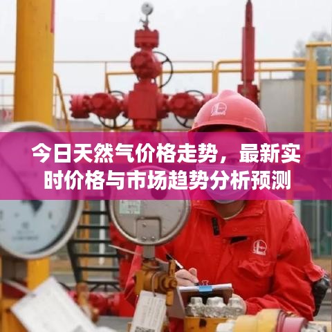 今日天然氣價格走勢，最新實時價格與市場趨勢分析預(yù)測