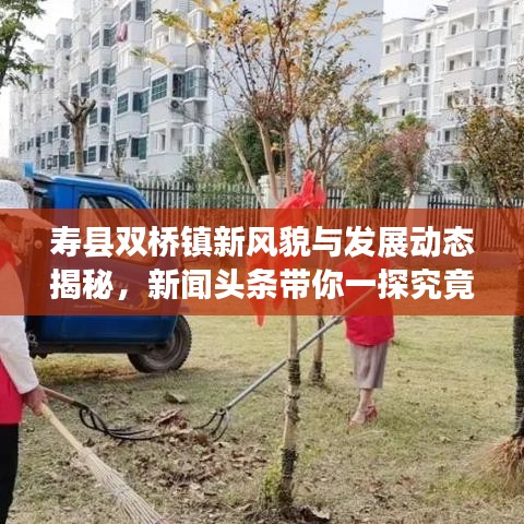 壽縣雙橋鎮(zhèn)新風(fēng)貌與發(fā)展動態(tài)揭秘，新聞頭條帶你一探究竟