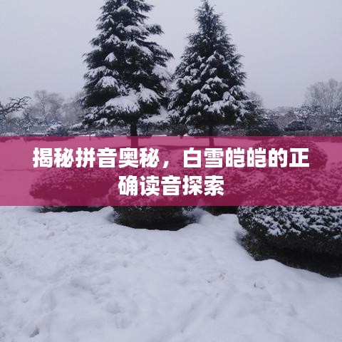 揭秘拼音奧秘，白雪皚皚的正確讀音探索