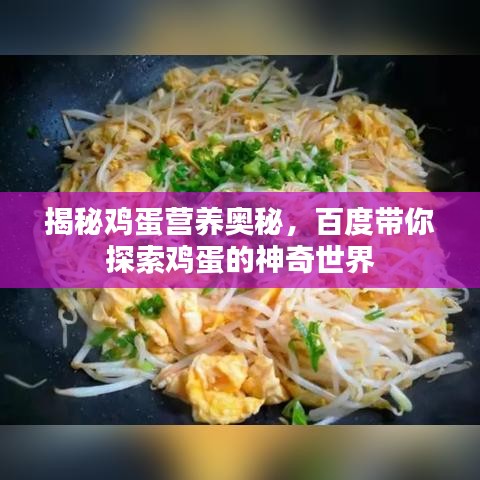 揭秘雞蛋營養(yǎng)奧秘，百度帶你探索雞蛋的神奇世界